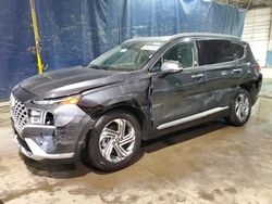 Hyundai Santa fe salvage cars for sale: 2023 Hyundai Santa FE SEL Premium