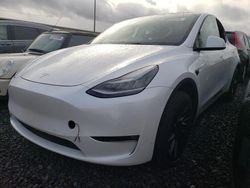 Tesla Model y salvage cars for sale: 2021 Tesla Model Y