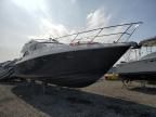 1998 Yach Boat