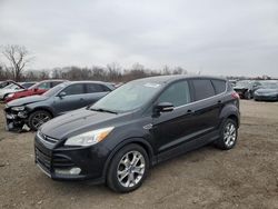 Ford salvage cars for sale: 2013 Ford Escape SEL