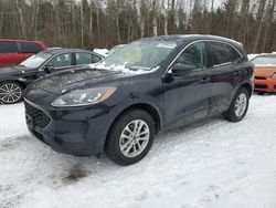 Ford salvage cars for sale: 2021 Ford Escape SE