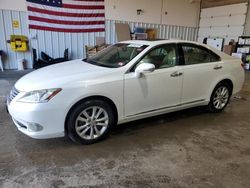 Lexus salvage cars for sale: 2010 Lexus ES 350