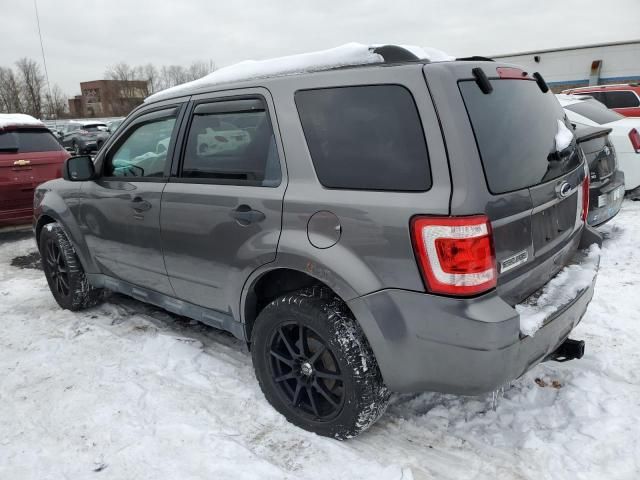 2011 Ford Escape XLT