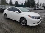 2010 Lexus HS 250H