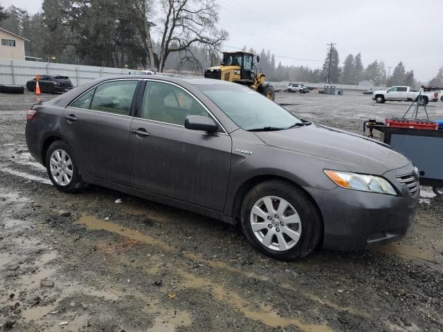 2008 Toyota Camry Hybrid