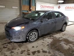 Toyota Corolla salvage cars for sale: 2017 Toyota Corolla L