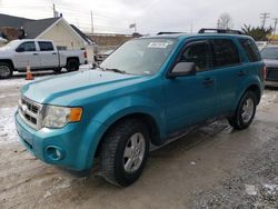 Salvage cars for sale from Copart Northfield, OH: 2012 Ford Escape XLT