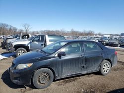 Toyota Corolla salvage cars for sale: 2009 Toyota Corolla Base