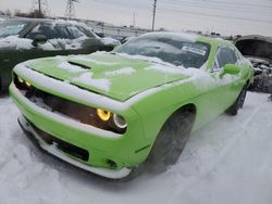 Dodge Challenger salvage cars for sale: 2023 Dodge Challenger GT