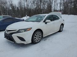 Toyota Camry salvage cars for sale: 2020 Toyota Camry SE