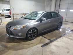 Ford Focus salvage cars for sale: 2014 Ford Focus SE