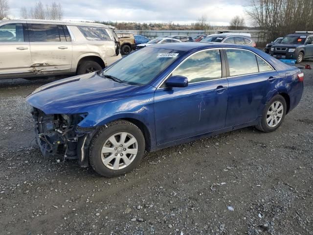 2009 Toyota Camry Hybrid