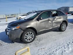 Ford Edge salvage cars for sale: 2013 Ford Edge Limited