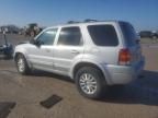 2004 Ford Escape Limited