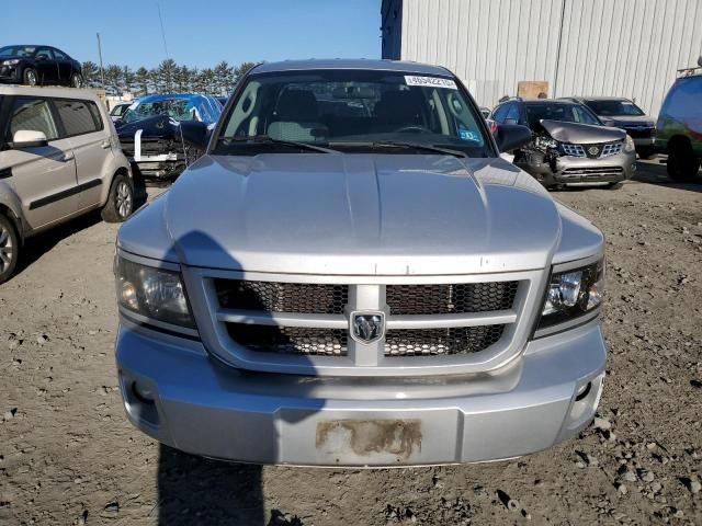 2011 Dodge Dakota SLT