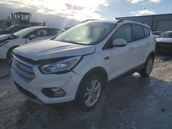 Ford Escape salvage cars for sale: 2018 Ford Escape SE