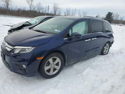 Honda Odyssey exl salvage cars for sale: 2019 Honda Odyssey EXL