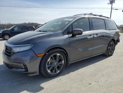 Honda Odyssey salvage cars for sale: 2022 Honda Odyssey Elite