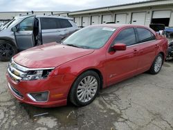 Ford Fusion Hybrid salvage cars for sale: 2011 Ford Fusion Hybrid