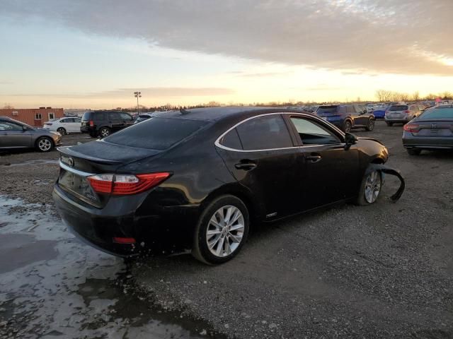 2014 Lexus ES 300H