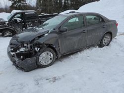 Vehiculos salvage en venta de Copart Montreal Est, QC: 2013 Toyota Corolla Base