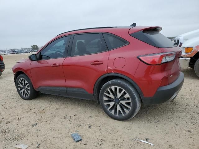 2020 Ford Escape SE Sport