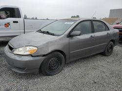 2004 Toyota Corolla CE for sale in Mentone, CA