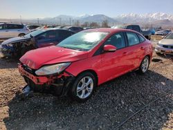 Ford Focus salvage cars for sale: 2014 Ford Focus SE