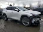 2023 Lexus NX 350H