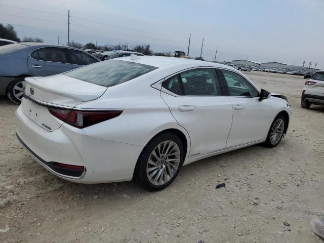 2019 Lexus ES 300H