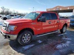 Ford salvage cars for sale: 2013 Ford F150 Supercrew