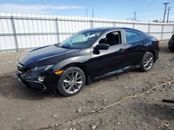 Honda salvage cars for sale: 2020 Honda Civic EX