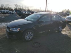 Volkswagen Jetta salvage cars for sale: 2013 Volkswagen Jetta Base