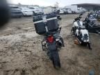 2019 Triumph Explorer XCA