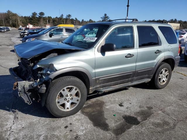 2005 Ford Escape XLT