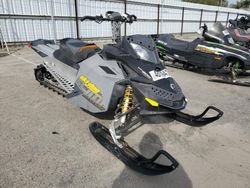 Skidoo Snowmobile salvage cars for sale: 2008 Skidoo 2008 Skidoo Summit