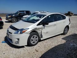 Toyota Prius salvage cars for sale: 2010 Toyota Prius