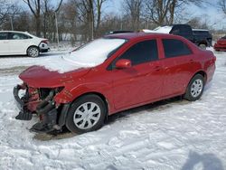 Salvage cars for sale from Copart Cicero, IN: 2010 Toyota Corolla Base