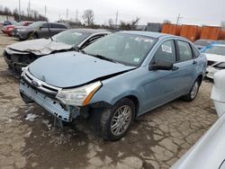 Ford Vehiculos salvage en venta: 2009 Ford Focus SE