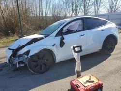 Tesla Model y Vehiculos salvage en venta: 2025 Tesla Model Y