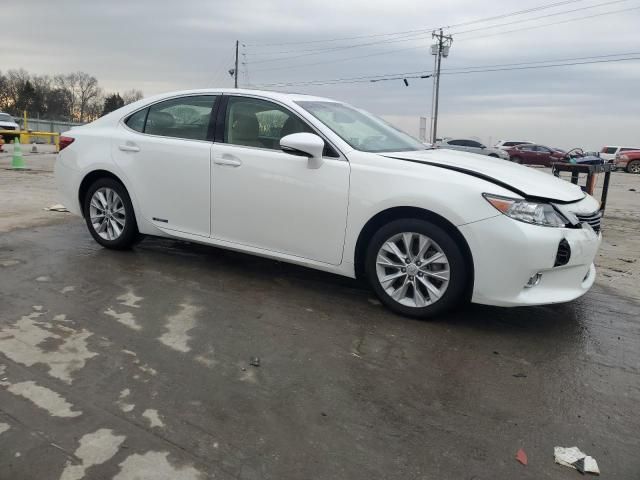 2013 Lexus ES 300H