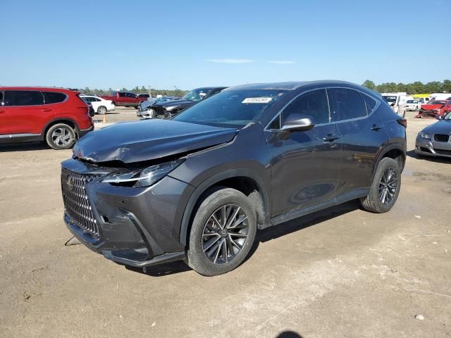 2023 Lexus NX 350