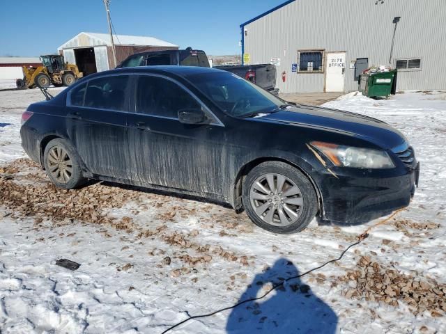 2011 Honda Accord EXL