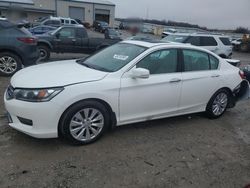 Honda Accord salvage cars for sale: 2015 Honda Accord EX