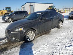 Lexus salvage cars for sale: 2014 Lexus IS 250