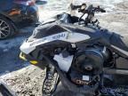 2024 Skidoo 2024 Skidoo MXZ