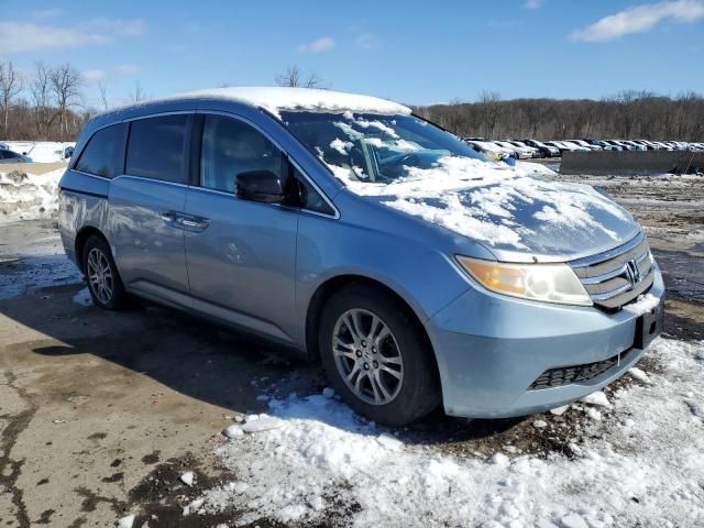 2011 Honda Odyssey EXL