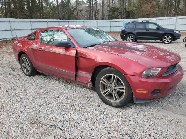 2010 Ford Mustang