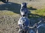 2025 Kawasaki EN650 D
