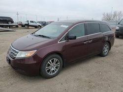 Honda salvage cars for sale: 2011 Honda Odyssey EXL